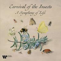 Carnival of the Insects - A Symphony for Life