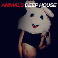 Animals Deep House (House Music Selection 2020)