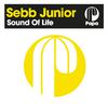 Sebb Junior - Sound Of Life (Original Mix)