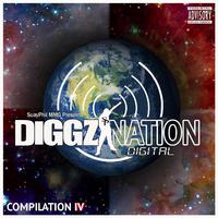 The Diggz Nation Compilation, Vol. 4