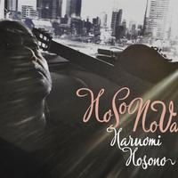 細野晴臣 - ウォーカーズ・ブルース