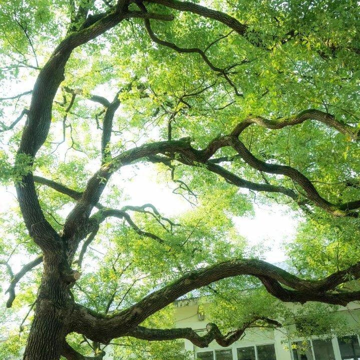 纯音乐｜治愈 温柔 助眠 工作