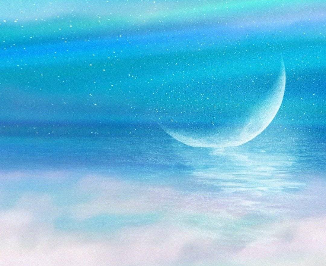 乔旎美美