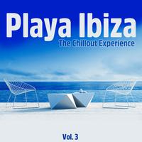 Playa Ibiza, Vol. 3