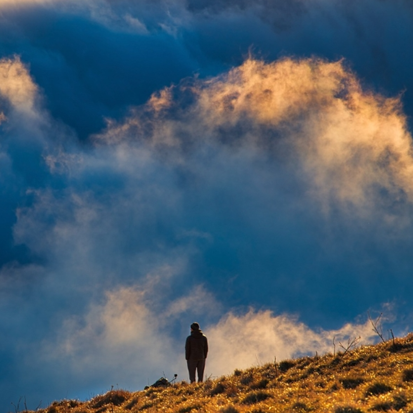 一朵小红花（亲手送你呀）