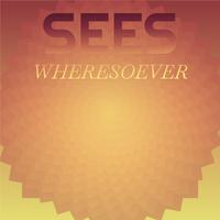 Sees Wheresoever