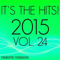 It's The Hits! 2015, Vol. 24