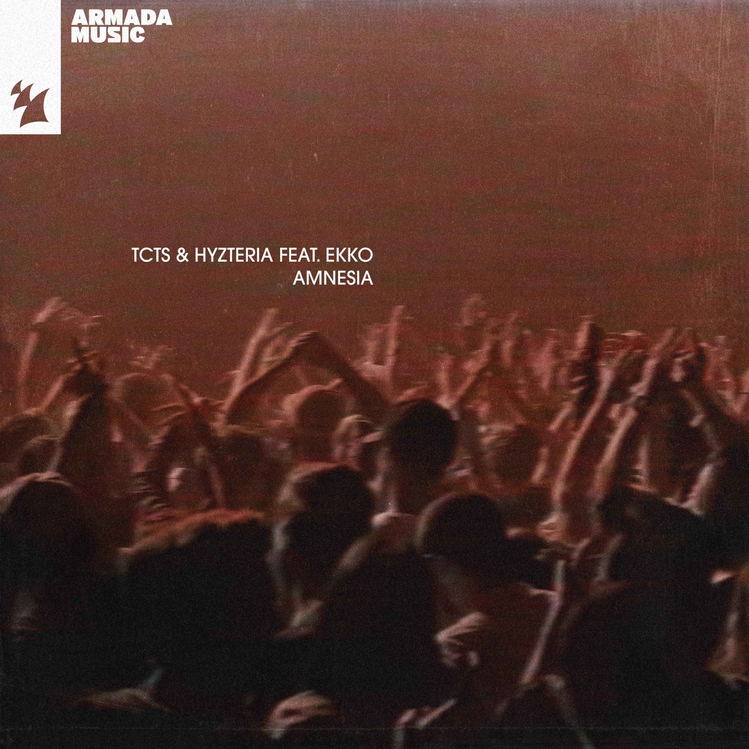 Amnesia (Extended Mix)