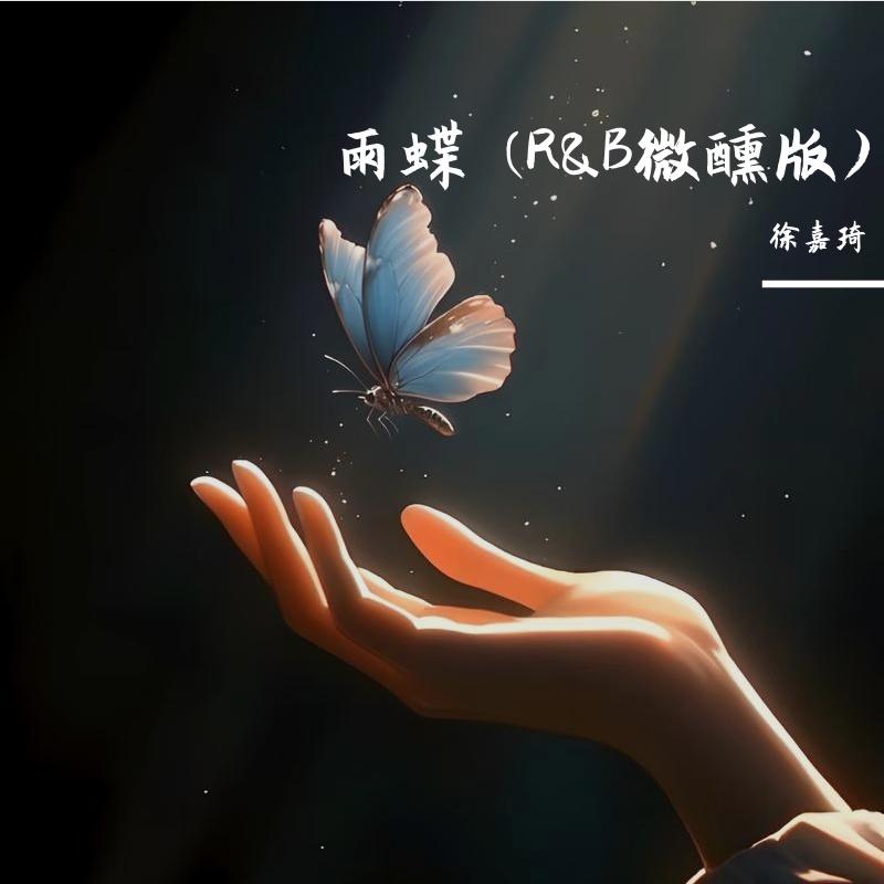 雨蝶 (R&B微醺版) - 徐嘉琦封面