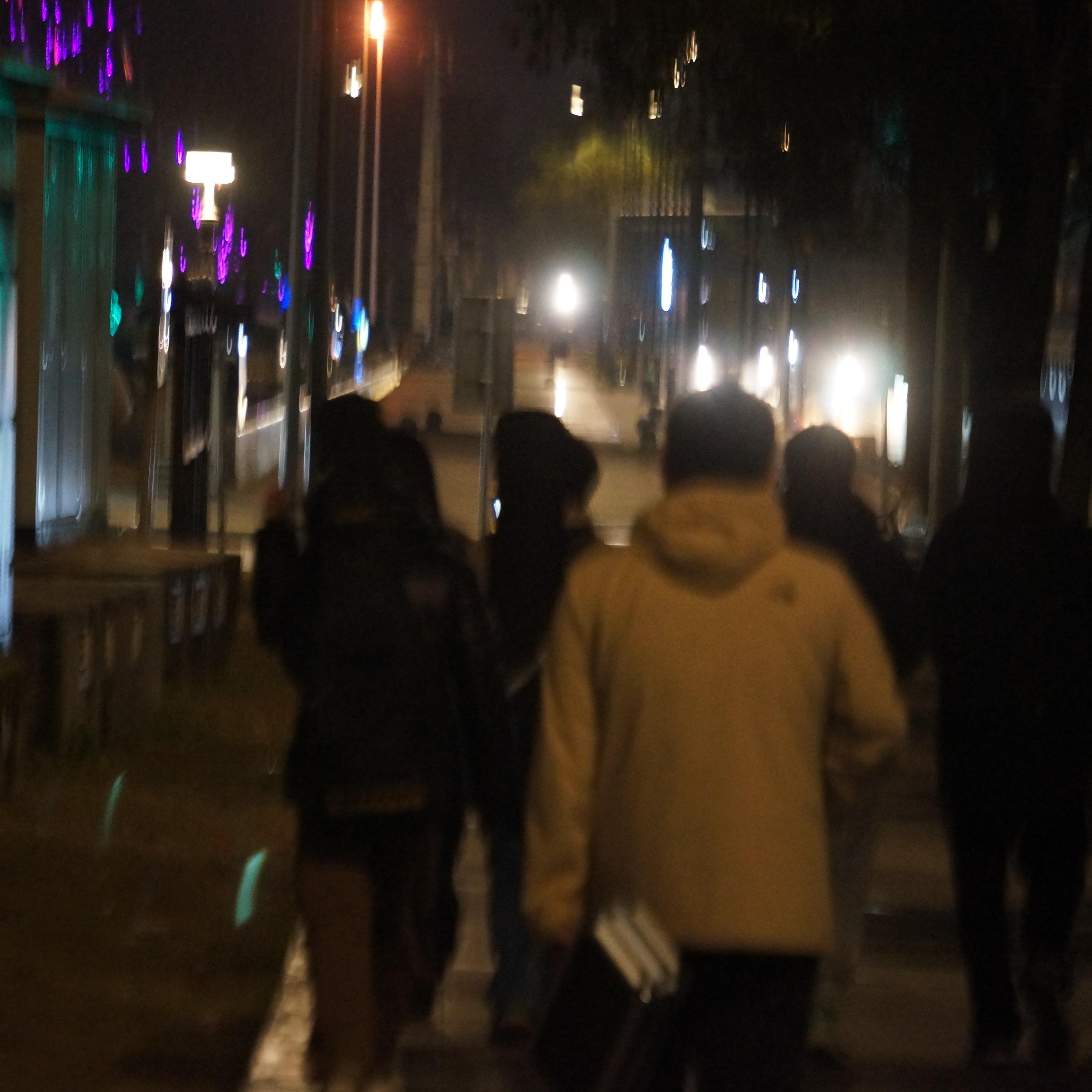 鸟类观察日记封面