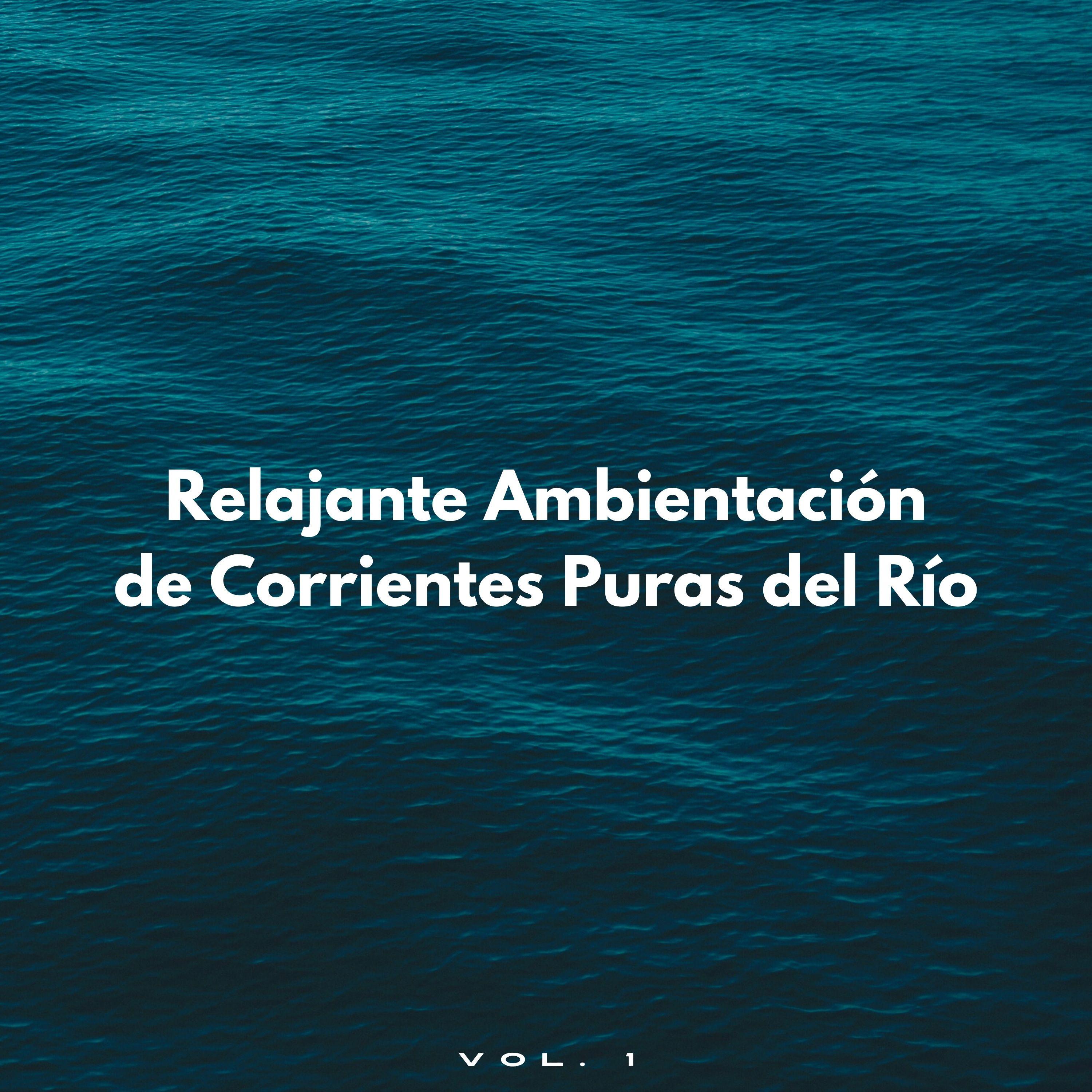 La Forma En Que El Agua Burbujea Hacia Abajo_Paisaje sonoro de agua goteando_Relajante Ambientación De Corrientes Puras Del Río Vol. 1 | 在线播放_La Forma En Que El Agua Burbujea Hacia Abajo歌词_La Forma En Que El Agua Burbujea Hacia Abajo下载 | 网易云音乐