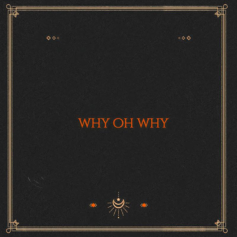 why oh why (DJ版)封面