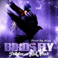 Birds Fly (feat. HellNback)