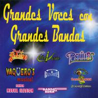 Grandes Voces Con Grandes Bandas