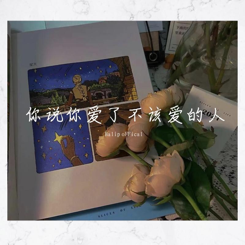 你说你爱了不该爱的人 (快手版)