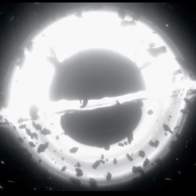 K'rye / 孤独，你们，彼岸之人