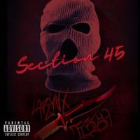 Section 45 (feat. Tbi$h)