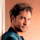 David Bisbal