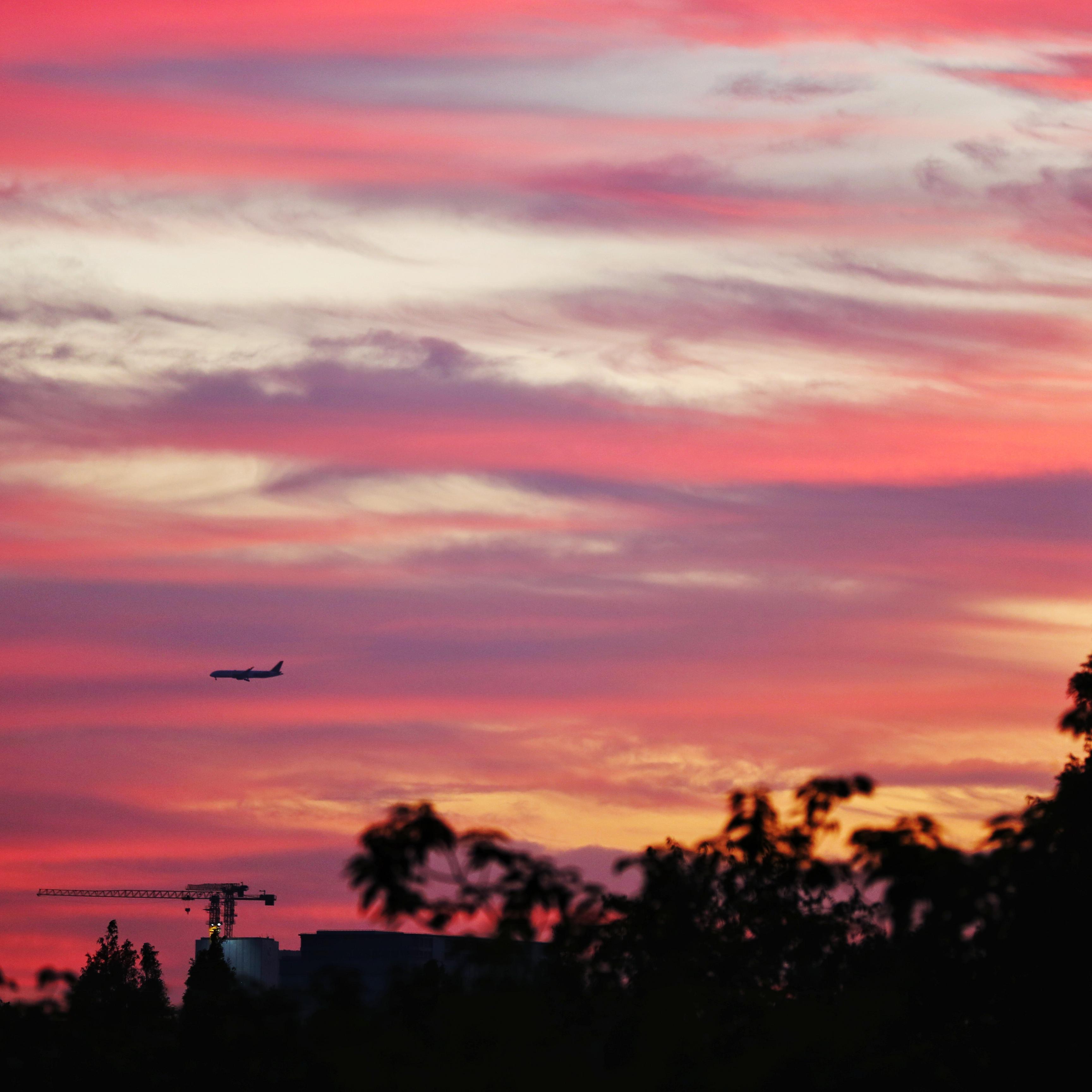 傻子（我是一个傻子）