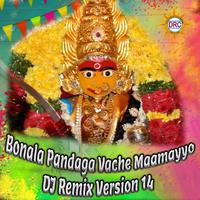 Bonala Pandaga Vache Maamayyo (DJ Remix Version 14)