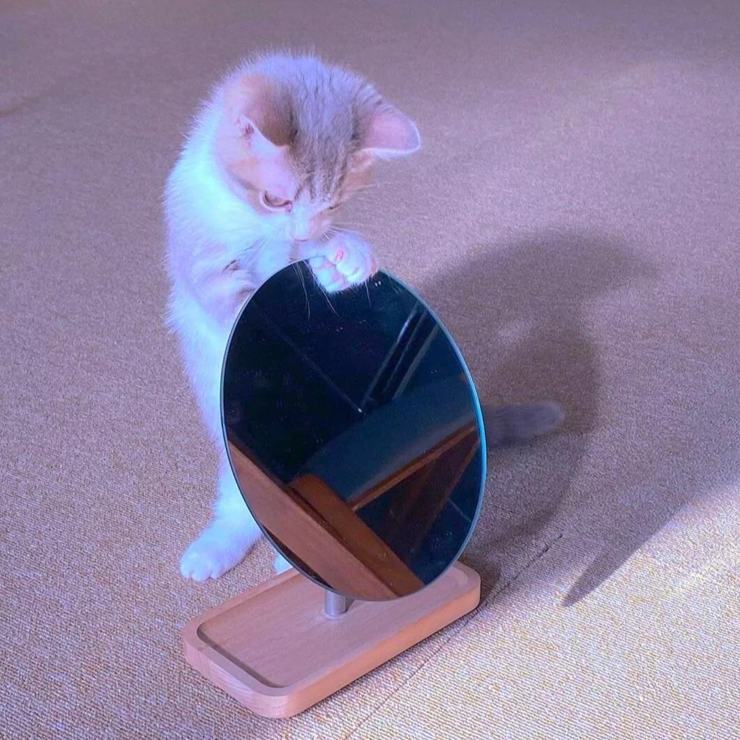 猫系女友 - 乐天、海绵宇、赵子婧封面
