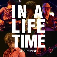 Lifetime (Live at SHIBUYA AX 2014.05.19)