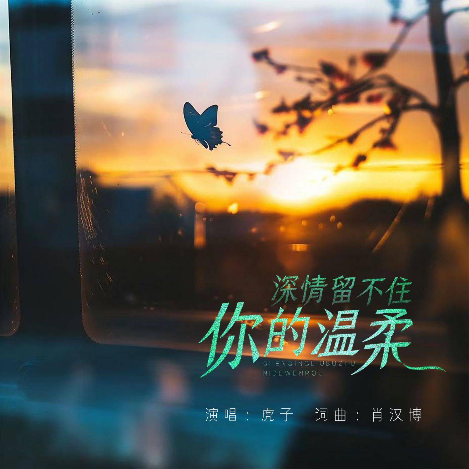 深情留不住你的温柔 - 虎子封面