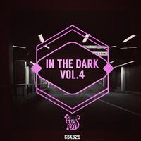 In the Dark, Vol. 4