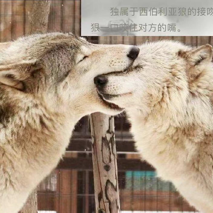 大杂烩捏大杂烩（什）