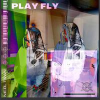 Play Fly