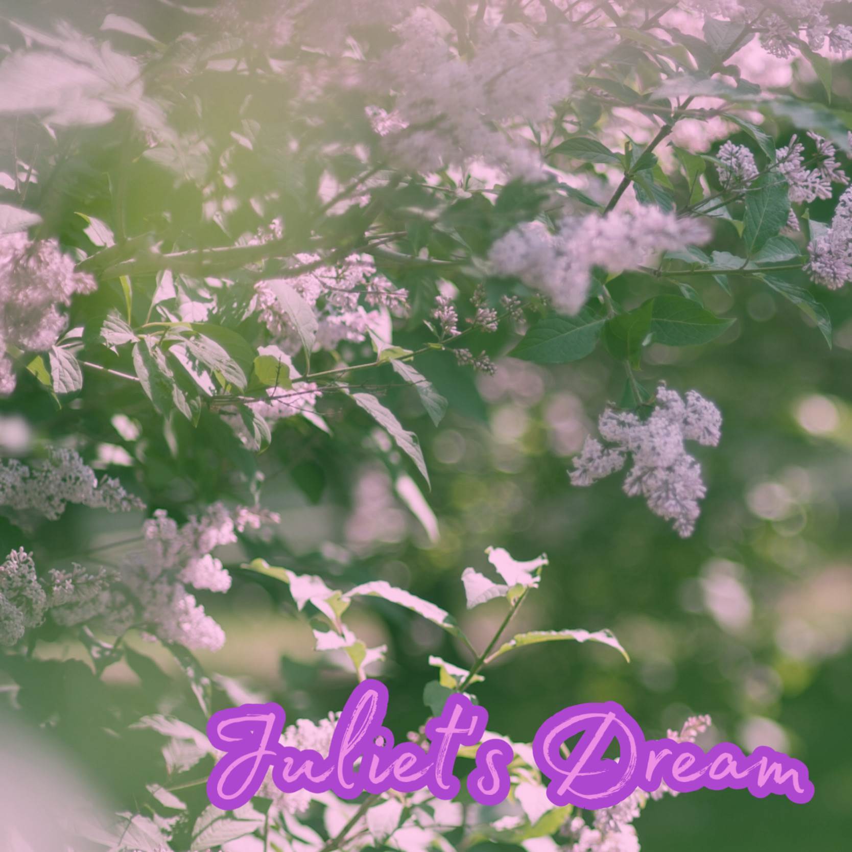 Juliet`s Dream (Piano Cover)