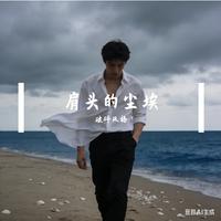 破碎风格 - 肩头的尘埃