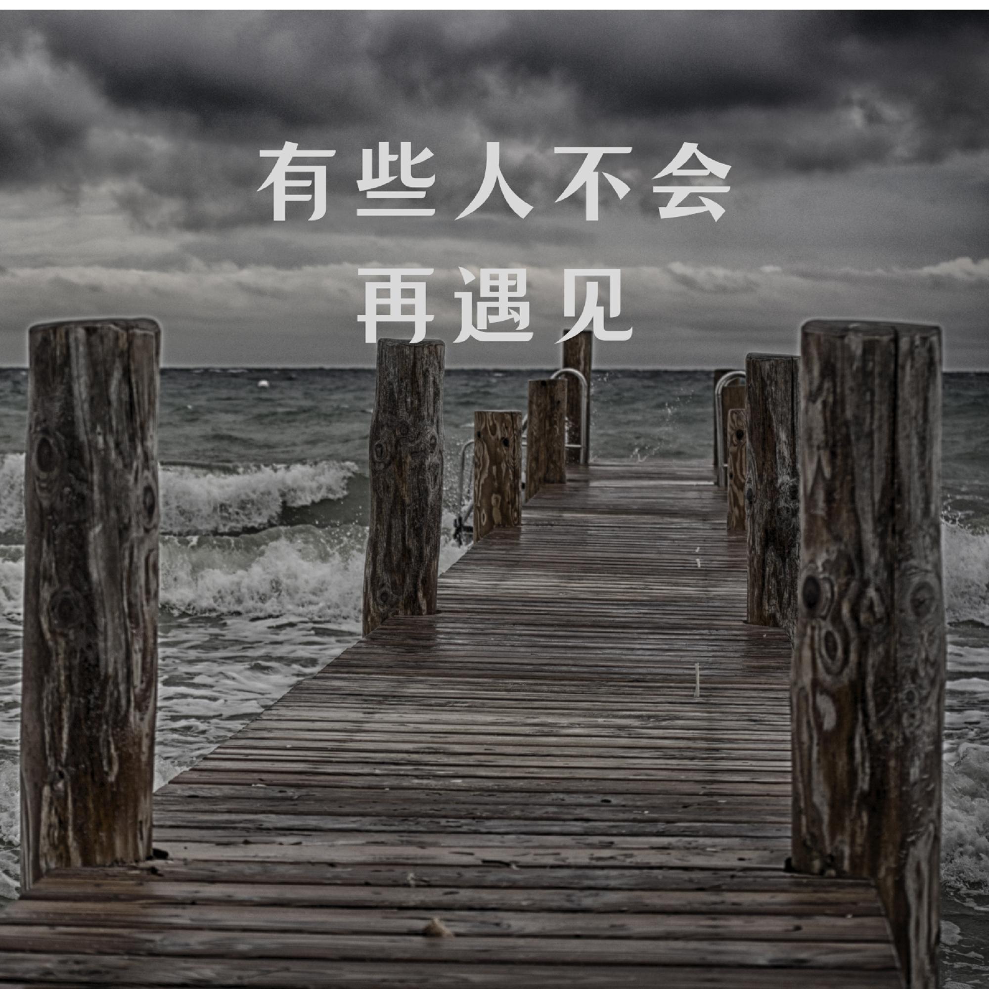 见一面少一面 (合唱版) - 荼鸢、云灏封面