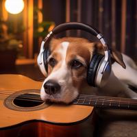 The Orchestra Of Canine Calm