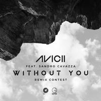 Without You (Vinil Remix)