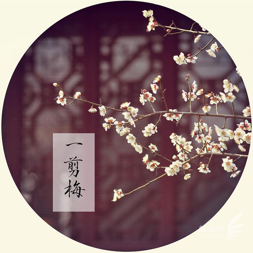 song-img