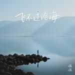 飞不过沧海专辑