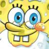 海绵宝宝23333