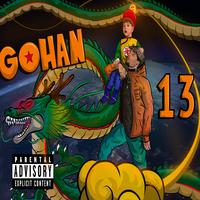 Gohan 13