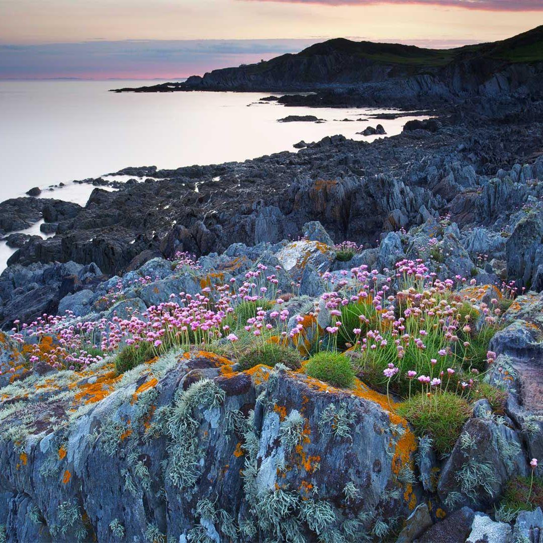 钢琴白噪音引向的入眠之境