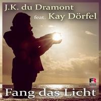 Fang das Licht