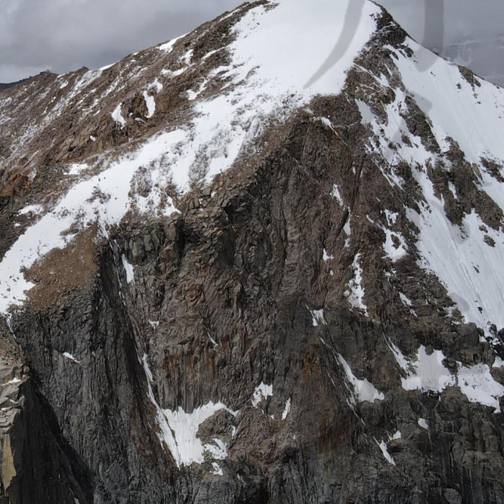 你别过来我怕狗喔