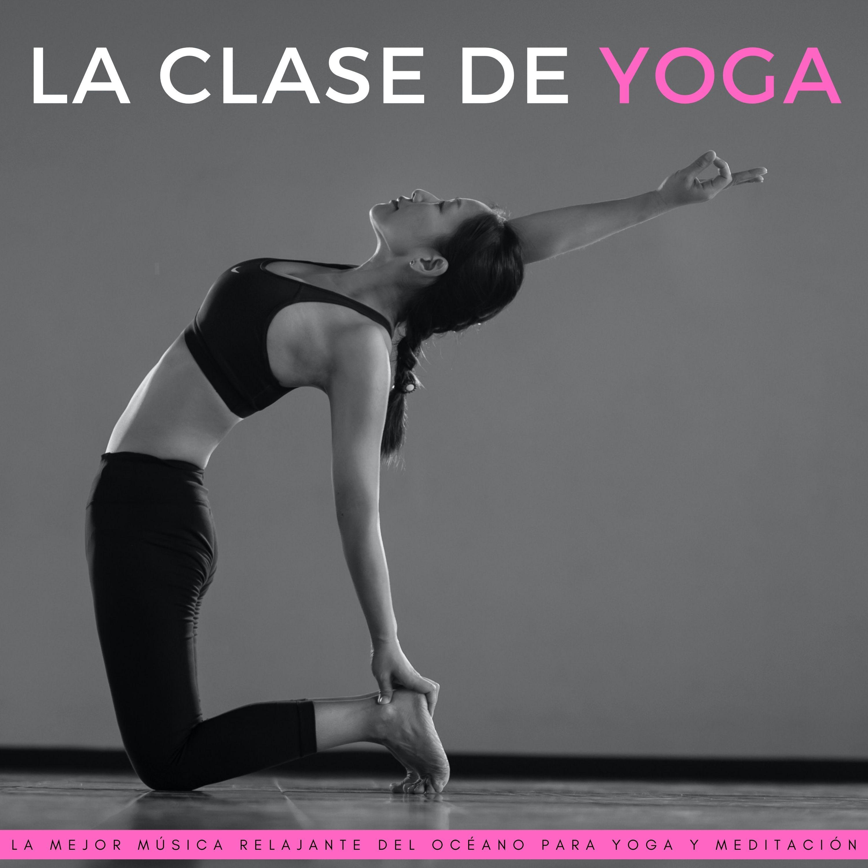 Nuevas Poses_Hacedores de océanos_La Clase De Yoga: La Mejor Música Relajante Del Océano Para Yoga Y Meditación | 在线播放_Nuevas Poses歌词_Nuevas Poses下载 | 网易云音乐
