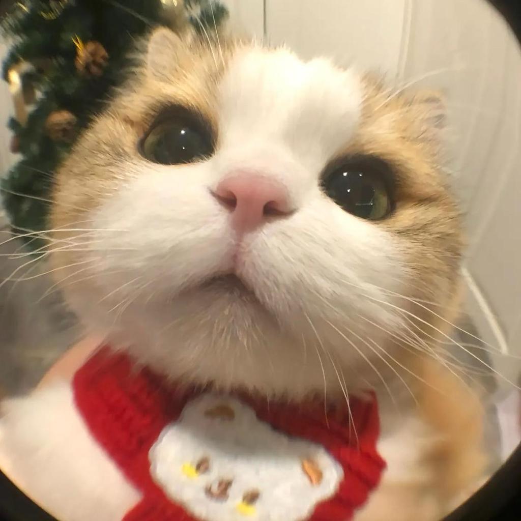 准时听歌小帅哥