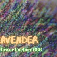 Flower Factory 666资料,Flower Factory 666最新歌曲,Flower Factory 666MV视频,Flower Factory 666音乐专辑,Flower Factory 666好听的歌