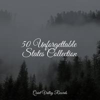 50 Unforgettable States Collection