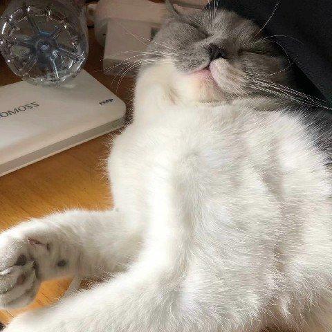 今天也要早点睡_--