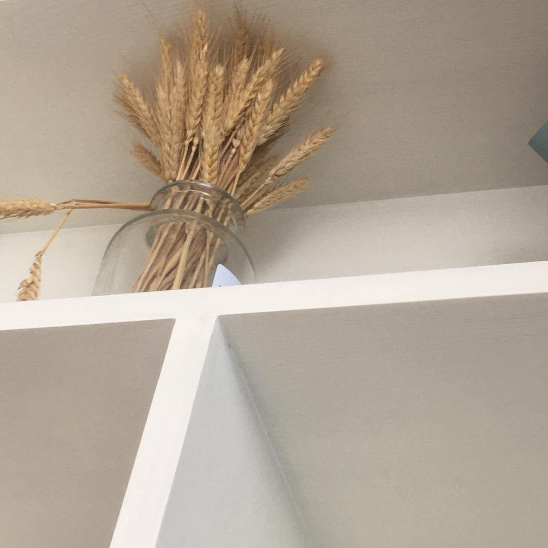 曾经守候封面