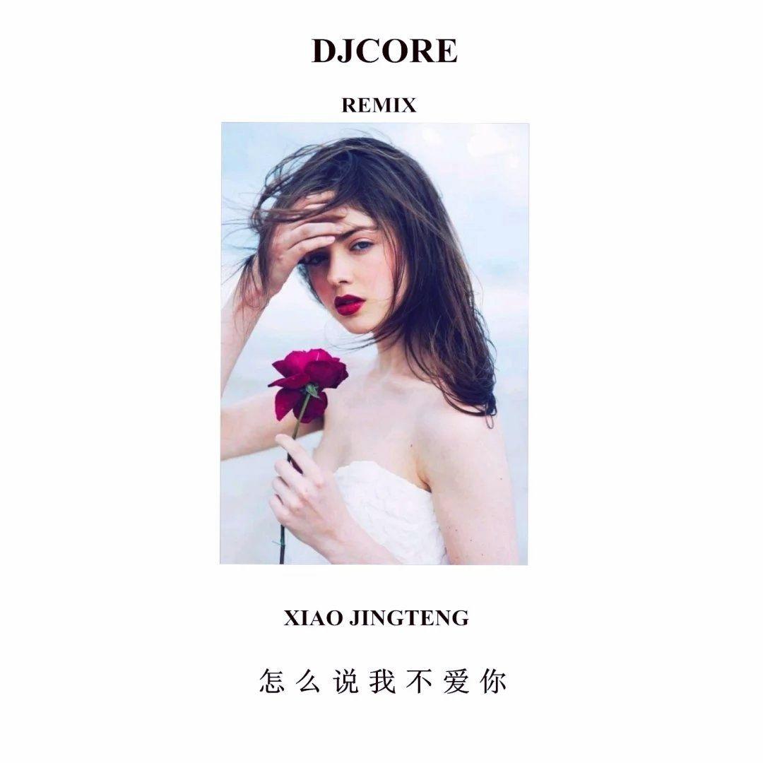 萧敬腾 - 怎么说我不爱你（DjCore Remix）2026封面
