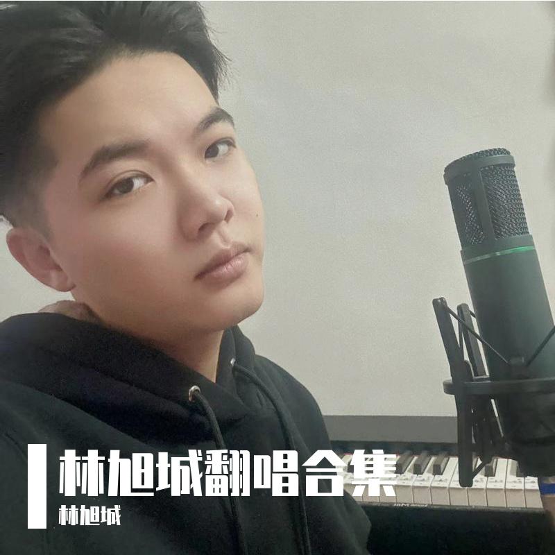 多喜欢你（翻自 小贱） - 林旭城封面